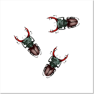 Stag beetles Posters and Art